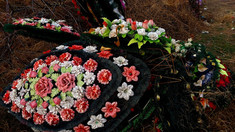Specialiștii de mediu îndemnă persoanele să aducă la cimitir flori vii, în loc de coroane din plastic

