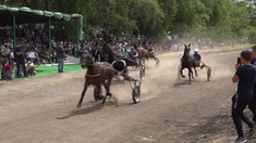 Găgăuzii au sărbătorit Hederlez. La Ceadîr-Lunga au fost organizate curse de cai, jocuri populare și expoziții