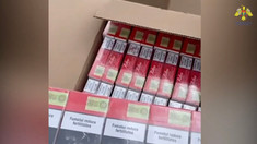 VIDEO | Tentativă de transportare ilicită a 2500 pachete de țigări, contracarată de Serviciul Vamal