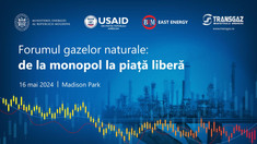La Chișinău se va desfășura Primul Forum al gazelor naturale, dedicat liberalizării pieței