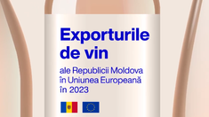 Exportul de vinuri din R. Moldova în UE a atins valoarea de 60,2 milioane de dolari, în 2023. România conduce detașat în topul destinațiilor de export