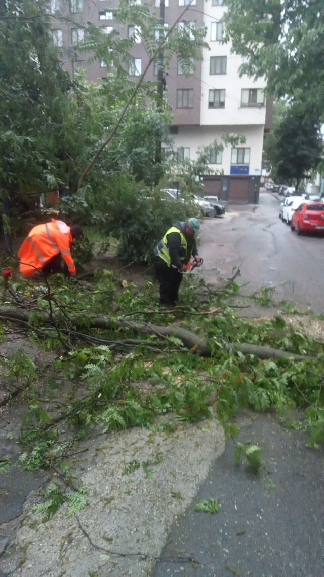 FOTO | Mai mulți arbori au fost doborâți în urma ploii torențiale din capitală