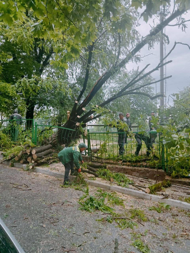 FOTO | Serviciile municipale intervin pentru a înlătura situațiile de avariere apărute în urma ploii abundente