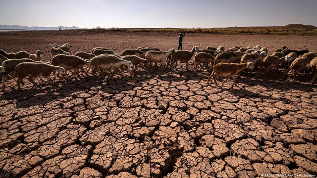 El Nino va fi înlocuit de La Nina mai repede ca până acum. Ce efecte au aceste fenomene meteorologice

