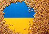 Cerealele ucrainene care tranzitează R. Moldova în continuare nu vor fi supuse controlului ANSA