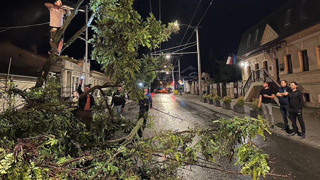 Vântul puternic a smuls copaci din rădăcină, a rupt crengi și fire electrice. În Chișinău a fost declarată Situație de forță majoră
