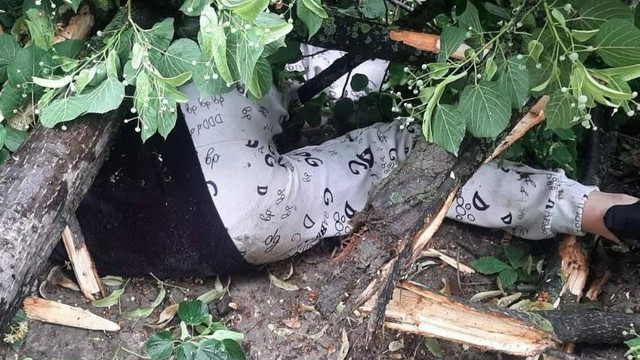 Poliția anunță că o femeie a fost găsită decedată sub un copac căzut pe strada Doina și Ion Aldea Teodorovici din Chișinău