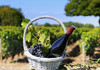 Republica Moldova devine capitala europeană a turismului vitivinicol
