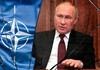 Casa Albă îl avertizează pe Putin că „nu va putea supraviețui” după acordurile NATO