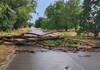 FOTO | Din cauza condițiilor meteo, în raionul Glodeni au fost doborâți mai mulți copaci, deteriorate țevi de gaz și rupte fire electrice