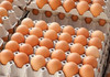 ANSA atenționează asupra calității ouălor procurate pe timp caniculă
