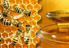 Cantitatea de miere exportată s-a dublat de la început de 2024
