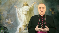 Vaticanul îl excomunică pe arhiepiscopul italian ultraconservator Carlo Maria Vigano, un opozant virulent al Papei Francisc