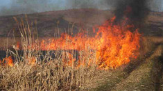 Pompierii avertizează populația despre riscul izbucnirii incendiilor de vegetație