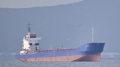 Ucraina a reținut o navă ce transporta orz din Giurgiulești. Anterior a navigat în Crimeea