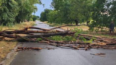 FOTO | Din cauza condițiilor meteo, în raionul Glodeni au fost doborâți mai mulți copaci, deteriorate țevi de gaz și rupte fire electrice