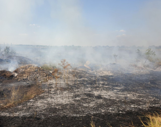 FOTO | IGSU: Peste 120 hectare de teren au fost compromise în ultimele 24 de ore