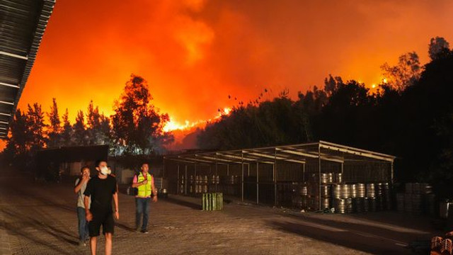 Turiști români, evacuați în urma incendiilor de vegetațiie din Turcia și Grecia. Anunțul MAE de la București
