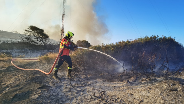 FOTO | Pompierii din Rep. Moldova detașați în Grecia au participat la lichidarea unui incendiu forestier