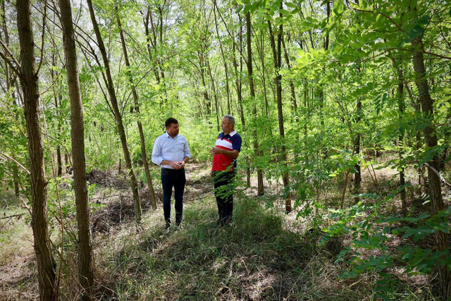 FOTO | Ministerul Mediului încurajează plantarea pădurilor private, prin exemplul celei de la Chișcăreni, Sângerei