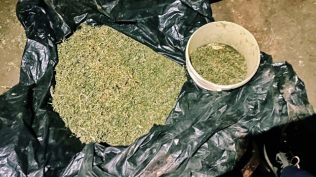 Poliția anunță o captură de 6 kilograme de marijuana la Cahul