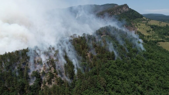 Portugalia solicită ajutorul UE: Un incendiu de vegetație amenință o pădure inclusă în lista UNESCO
