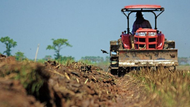 Primele măsuri pentru susținerea fermierilor afectați de secetă și alte calamități naturale au fost anunțate de ministrul Vladimir Bolea