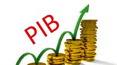 PIB-ul a crescut cu 2,4% în trimestrul II 