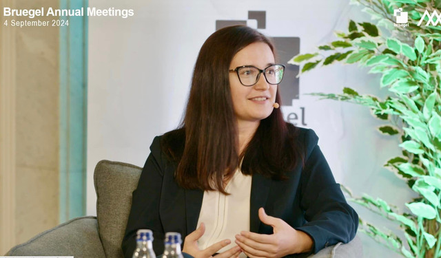 FOTO | Cristina Gherasimov a participat la reuniunea grupului de experți Bruegel, de la Bruxelles