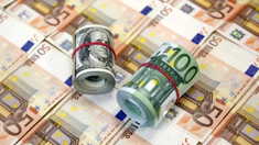 Cât valorează un euro și un dolar. Cursul valutar stabilit de BNM