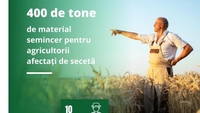 Agricultorii care au suferit pierderi de peste 70% din cauza secetei pot accesa sprijinul de 400 tone de semințe de grâu
