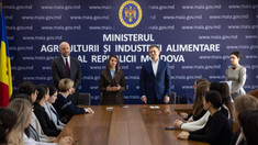 Ludmila Catlabuga, noua ministră a Agriculturii și Industriei Alimentare, a fost prezentată echipei instituției 