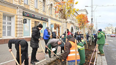 FOTO | Conducerea Primăriei Chișinău și mai mulți ambasadori au plantat copaci pe Bd. Ștefan cel Mare 