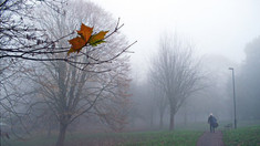 METEO | Vremea continuă să se răcească în acest weekend, noaptea se așteaptă înghețuri