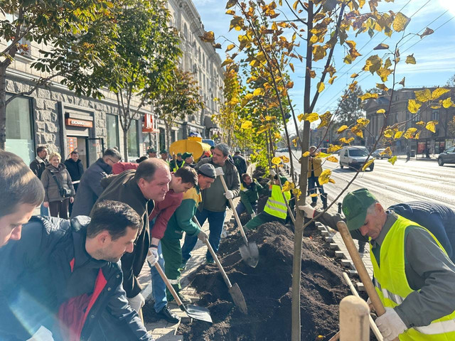 FOTO | Pe bulevardul principal al Chișinăului au fost plantați mai mulți tei
