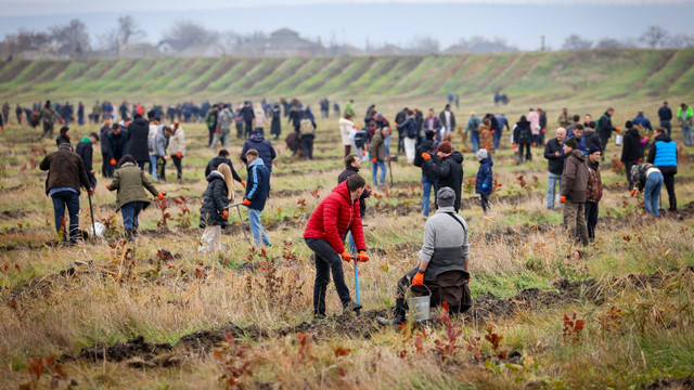 FOTO | Daniel Vodă: „Angajații Guvernului au plantat peste 200 de mii de puieți