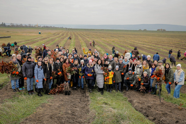 FOTO | Daniel Vodă: „Angajații Guvernului au plantat peste 200 de mii de puieți