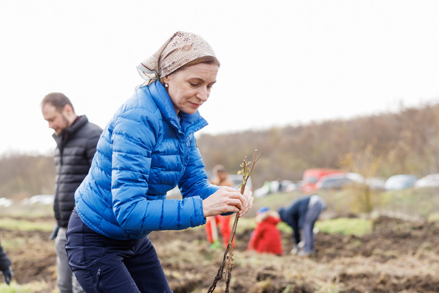 FOTO | Maia Sandu a participat la prima zi a campaniei de împădurire: „Fiecare puiet sădit este un pas înainte spre o planetă mai curată, spre o țară mai verde”