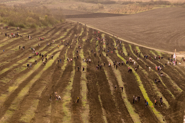 FOTO | Maia Sandu a participat la prima zi a campaniei de împădurire: „Fiecare puiet sădit este un pas înainte spre o planetă mai curată, spre o țară mai verde”