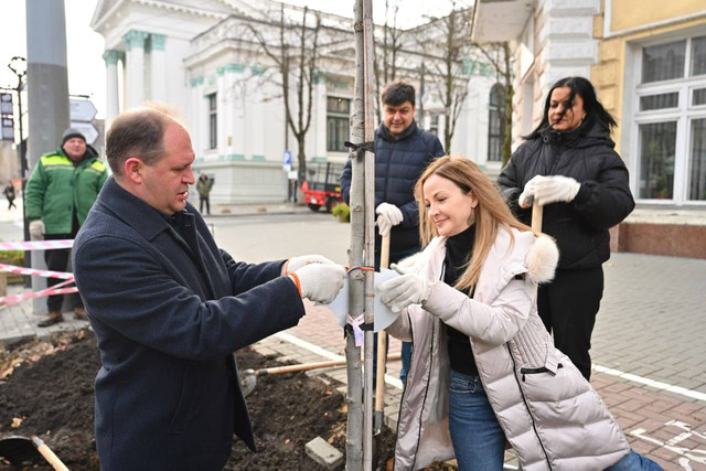 FOTO | Conducerea Primăriei Chișinău și mai mulți ambasadori acreditați au plantat copaci pe Bd. Ștefan cel Mare 