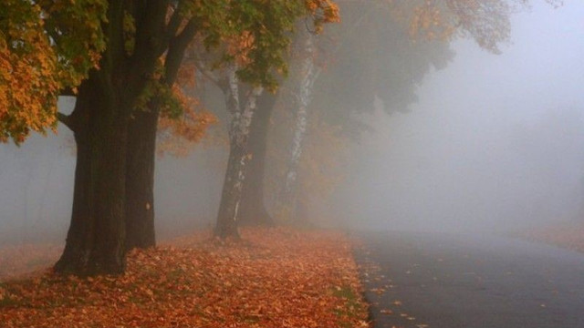 METEO | Cum va fi vremea în ziua alegerilor prezidențiale. Meteorologii au emis Cod galben de scădere a temperaturii
