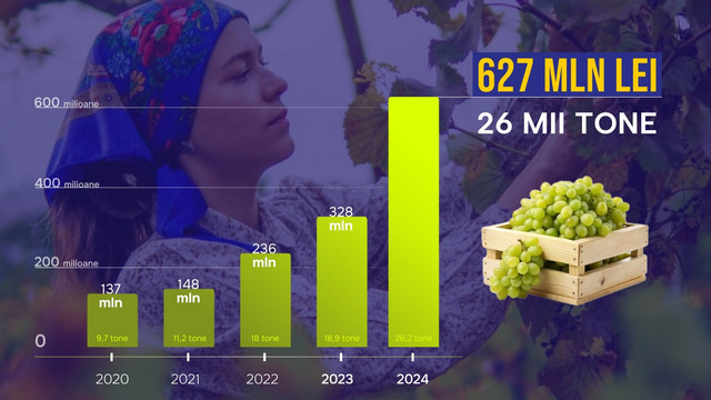 Exporturile de struguri de masă către UE s-au dublat față de anul trecut, iar Rusia și-a pierdut aproape complet importanța ca piață de desfacere