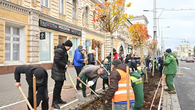 FOTO | Conducerea Primăriei Chișinău și mai mulți ambasadori acreditați au plantat copaci pe Bd. Ștefan cel Mare 