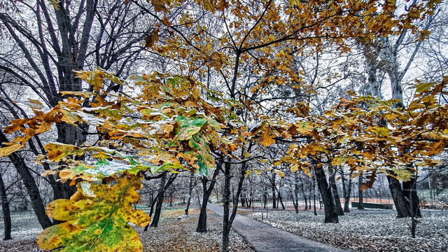 METEO | Ultima lună din an va fi cu temperaturi în limitele normalului perioadei