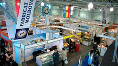 „Fabricat în Moldova”. Circa 350 de companii locale din mai multe raioane își vor prezenta produsele la Moldexpo