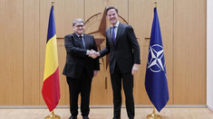 Emil Hurezeanu și Mark Rutte au discutat despre nevoia consolidării sprijinului NATO pentru Republica Moldova 