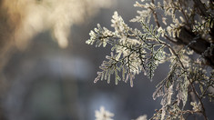 METEO | Temperaturile vor coborî până la -10 grade Celsius în această noapte