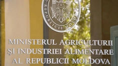 La Ministerul Agriculturii și Industriei Alimentare a fost numit un nou secretar general adjunct