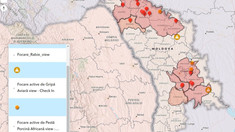 Noi focare de pestă porcină africană și gripă aviară, depistate în Republica Moldova