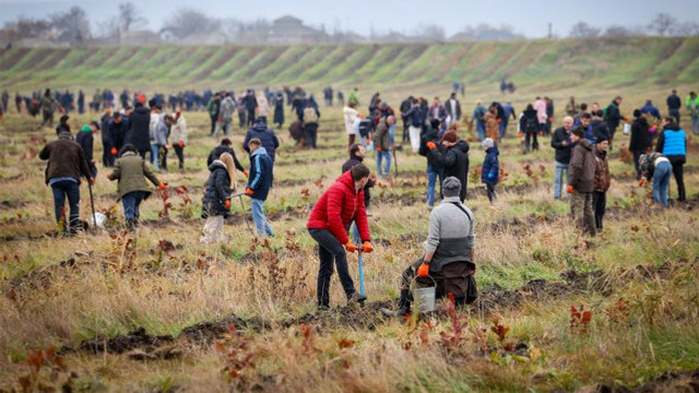 Peste 8 milioane de puieți vor fi plantați în cadrul Campaniei naționale de împădurire din primăvară. Lazarencu: „Pentru fiecare copac tăiat, noi plantăm alți 12 în loc”